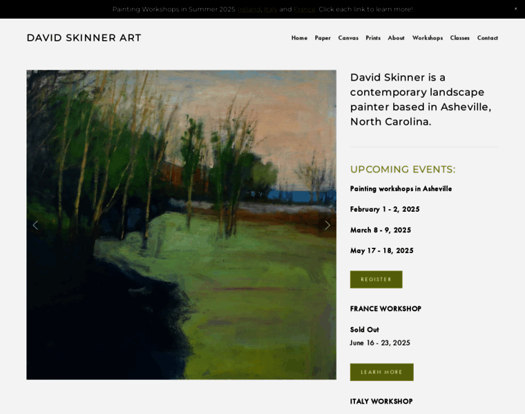 Dskinner.net thumbnail