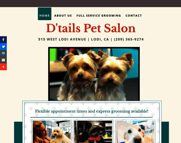 Dtailspetgrooming.com thumbnail