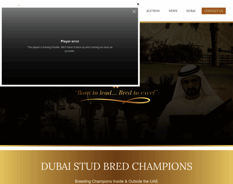 Dubaiarabianstud.com thumbnail