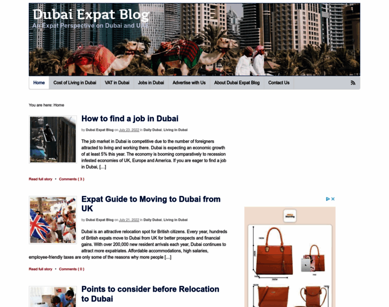 Dubaiexpatblog.com thumbnail