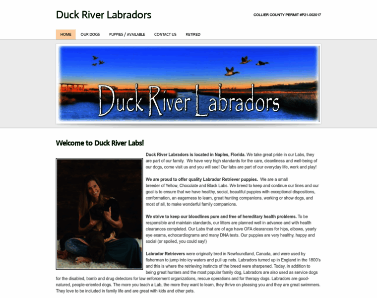 Duckriverlabradors.com thumbnail