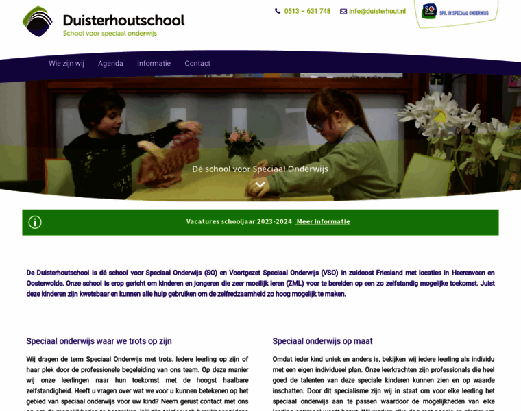 Duisterhout.nl thumbnail