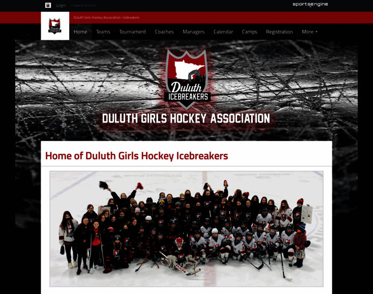 Duluthgirlshockey.org thumbnail