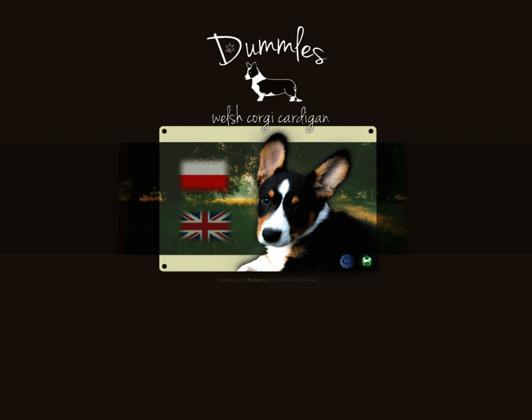 Dummles.pl thumbnail