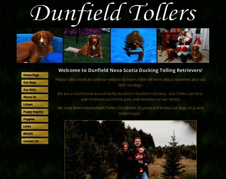 Dunfieldtollers.com thumbnail