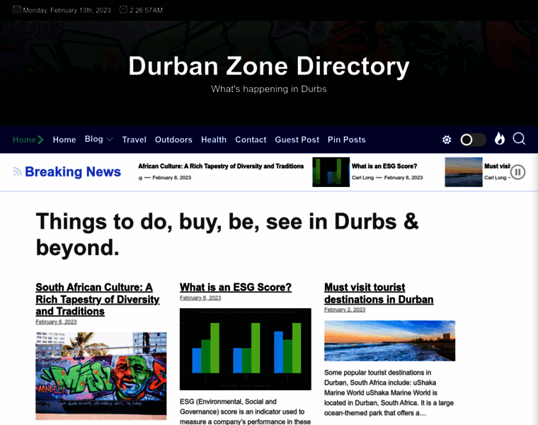 Durbanzone.co.za thumbnail