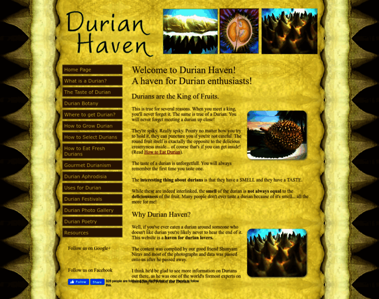 Durianhaven.com thumbnail