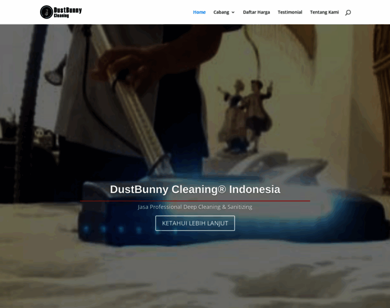 Dustbunnyindonesia.com thumbnail