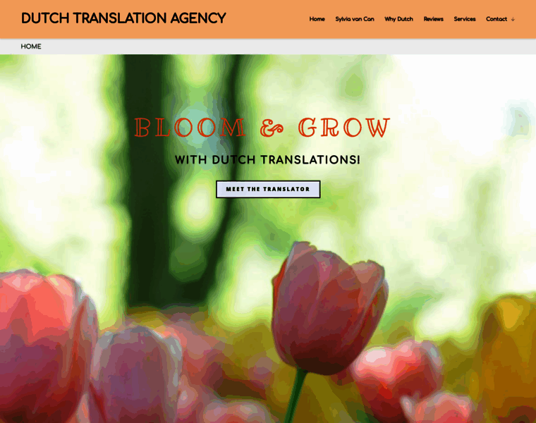 Dutch-translation-agency.com thumbnail