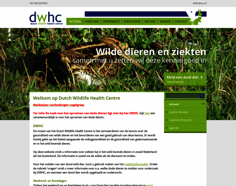 Dwhc.nl thumbnail