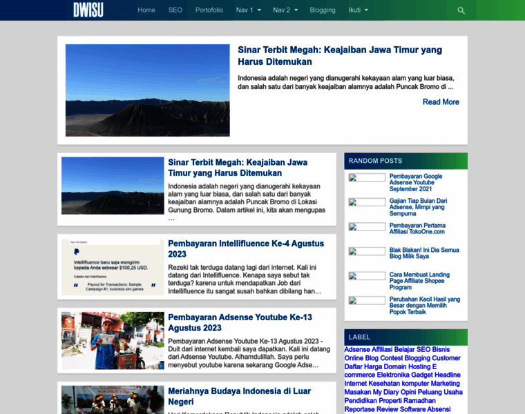 Dwisu.web.id thumbnail