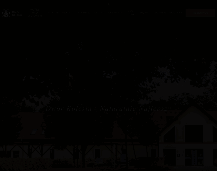 Dworkolesin.pl thumbnail