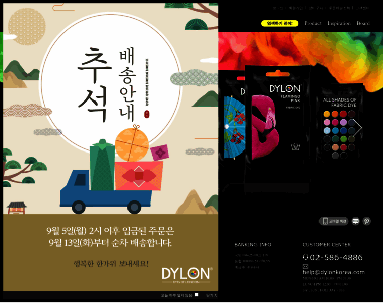 Dylon.co.kr thumbnail
