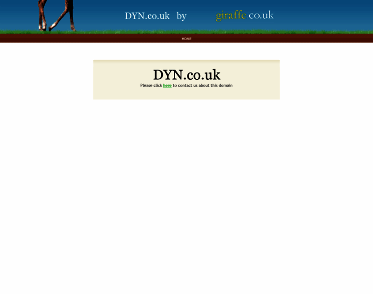 Dyn.co.uk thumbnail