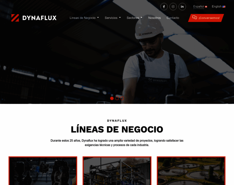 dynaflux.com.pe at WI. Dynaflux| Líderes en industria nacional - Dynaflux