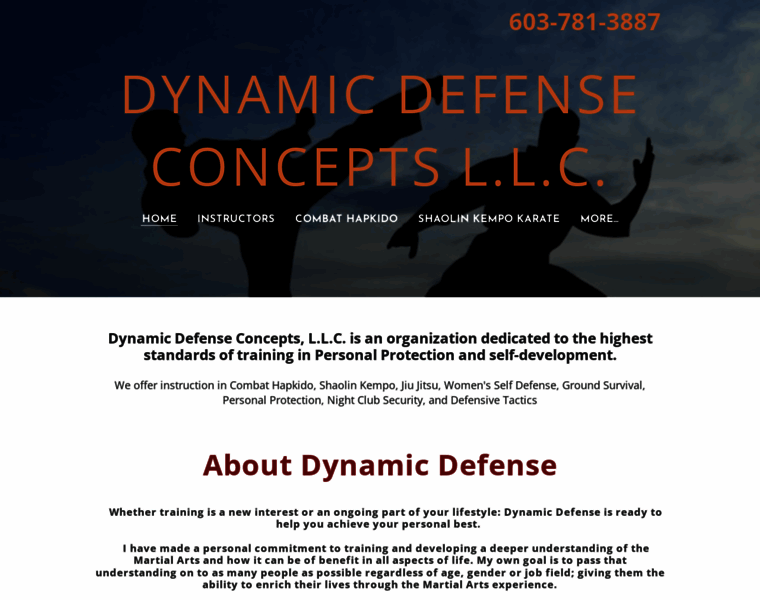 Dynamicdefenseconcepts.com thumbnail