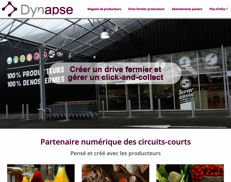 Dynapse.fr thumbnail