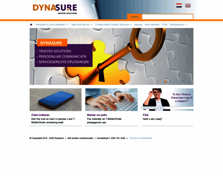 Dynasure.nl thumbnail
