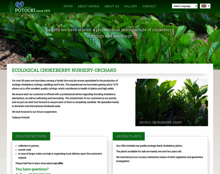 E-aronia.pl thumbnail