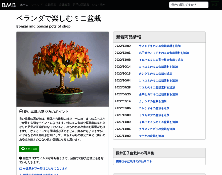 E-bonsai.org thumbnail