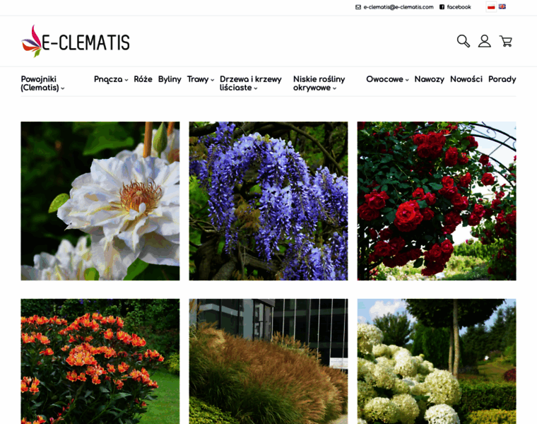 E-clematis.com thumbnail