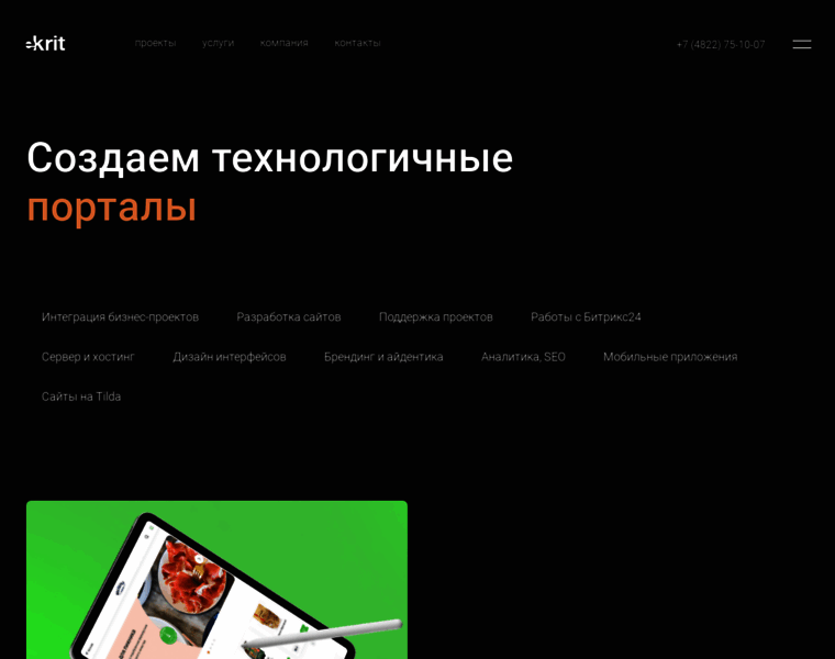 E-krit.ru thumbnail