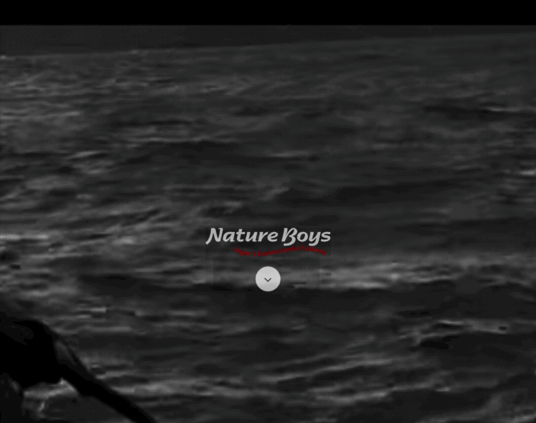 E-natureboys.com thumbnail
