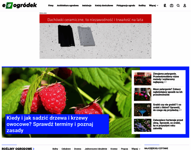 E-ogrodek.pl thumbnail