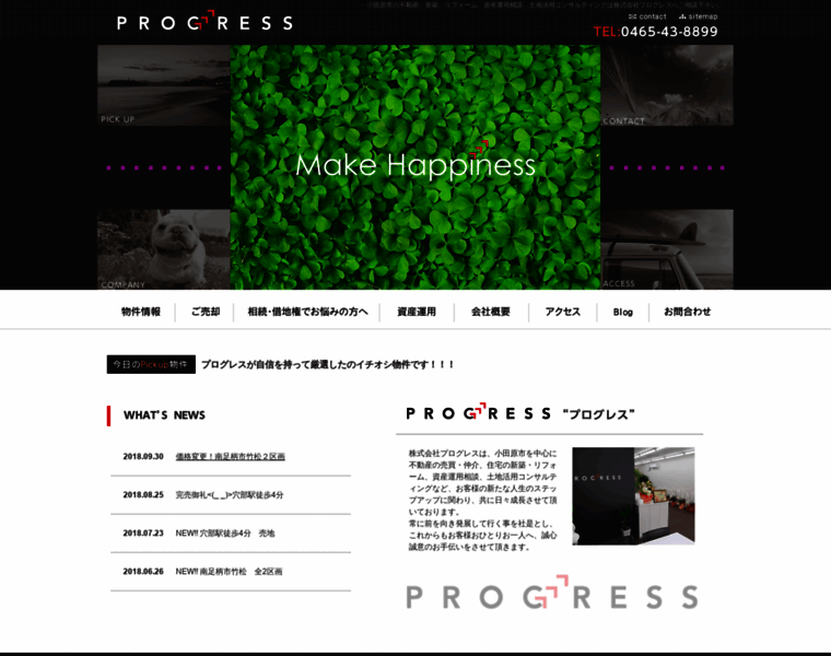 E-progress.jp thumbnail