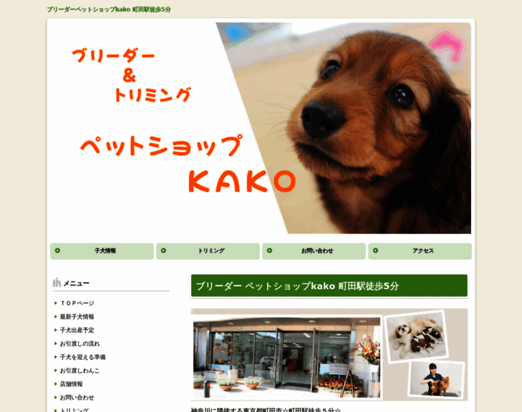 E-puppy.jp thumbnail