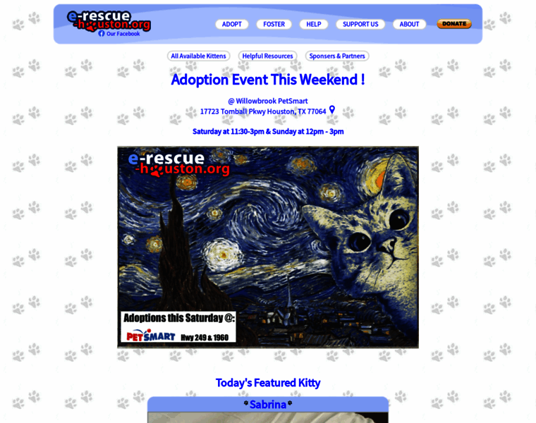 E-rescue-houston.org thumbnail