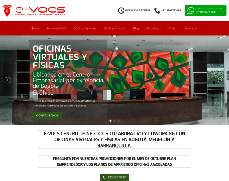 E-vocs.com thumbnail