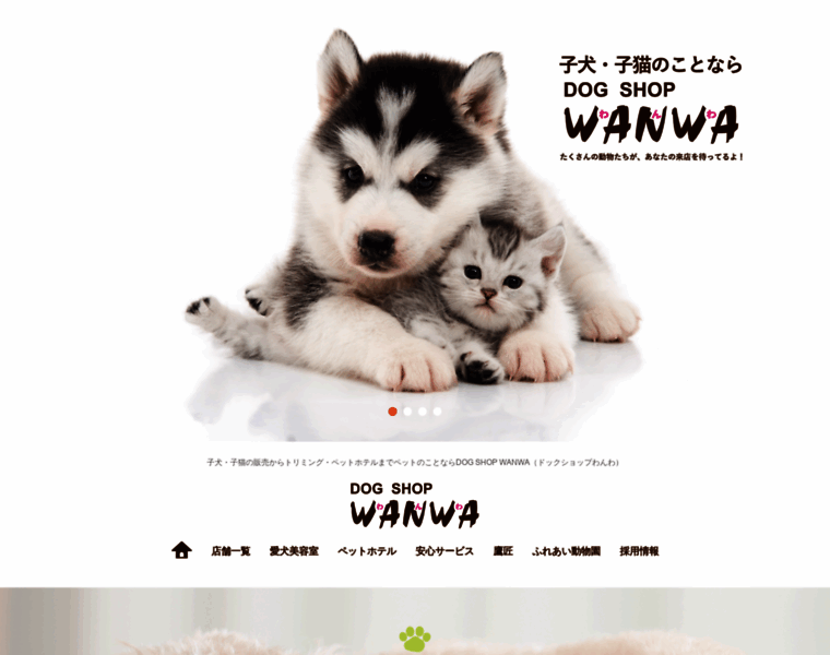 E-wanwa.com thumbnail