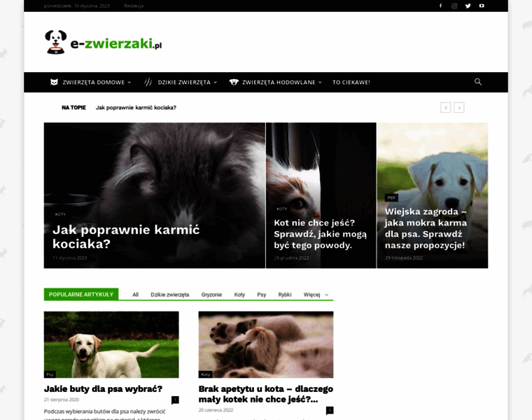 E-zwierzaki.pl thumbnail