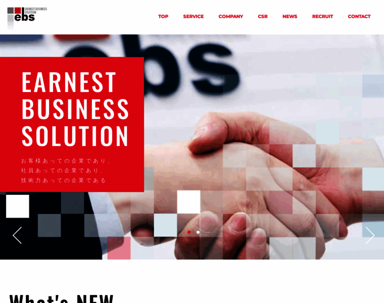 Earnest-business.com thumbnail