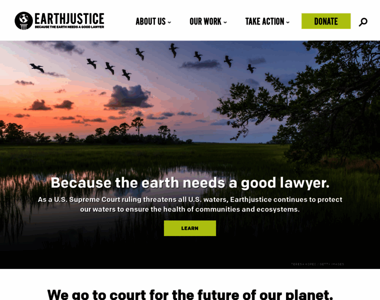 Earthjustice.com thumbnail