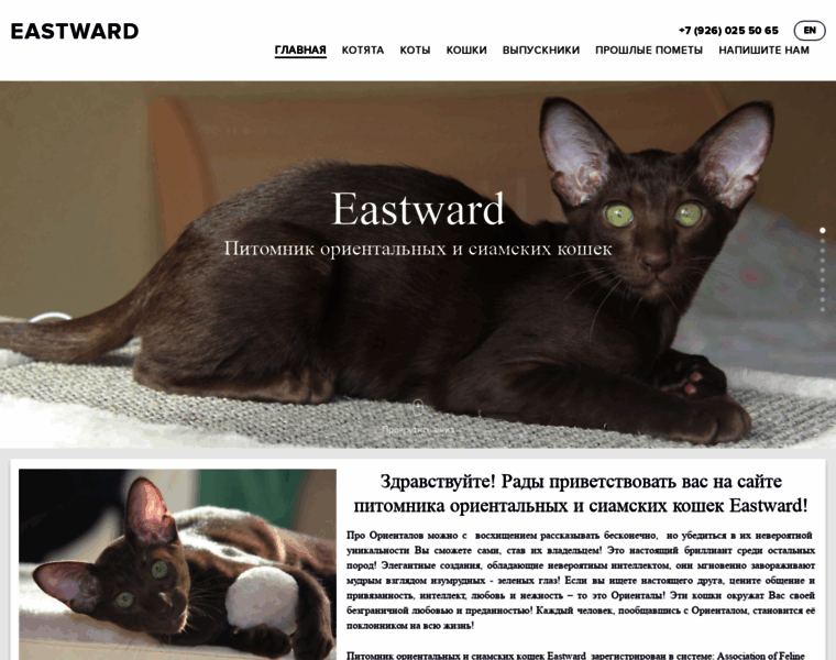 Eastward-cats.ru thumbnail