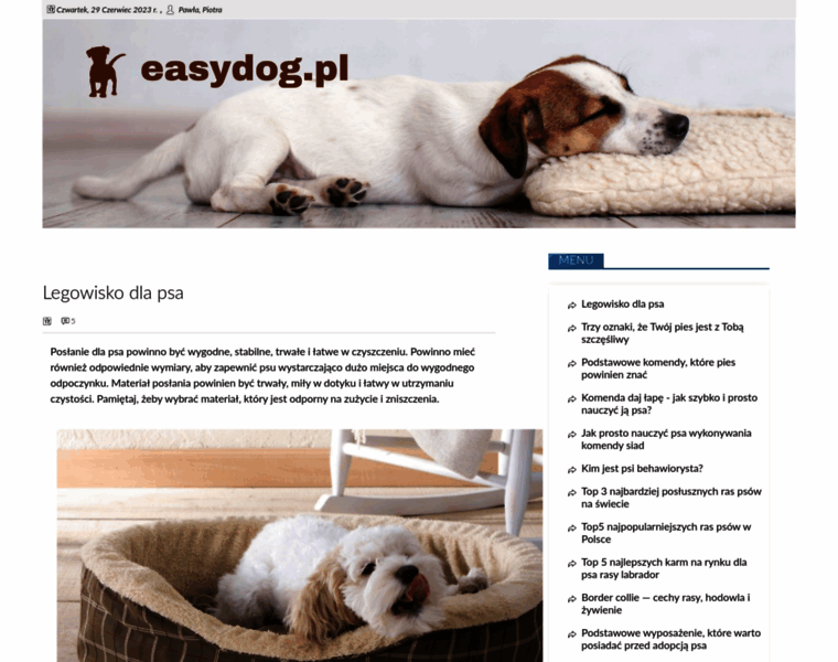 Easydog.pl thumbnail