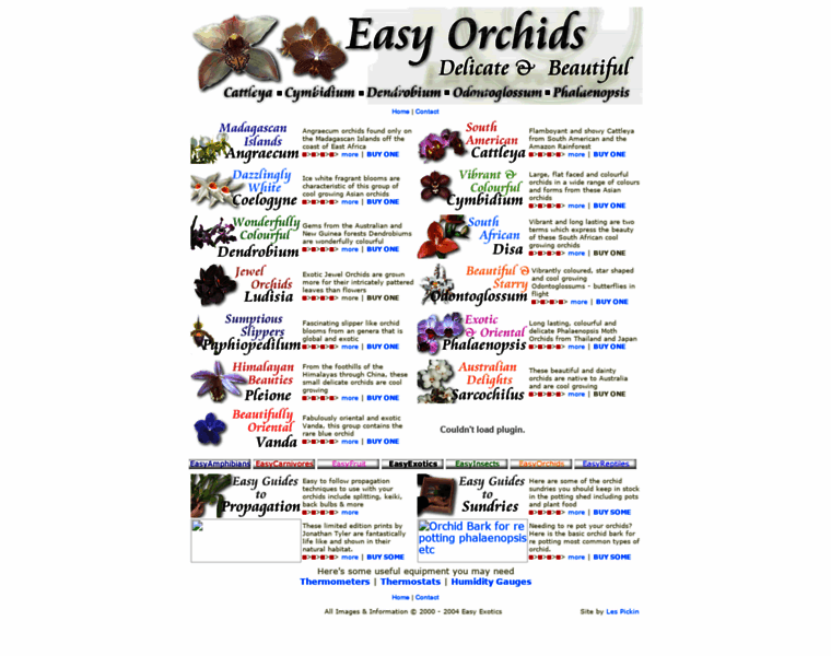 Easyorchids.co.uk thumbnail