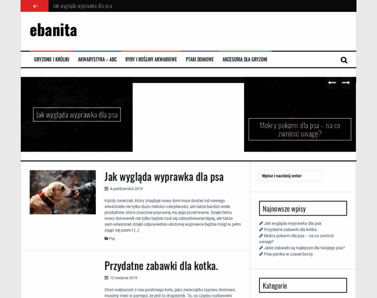 Ebanita.pl thumbnail