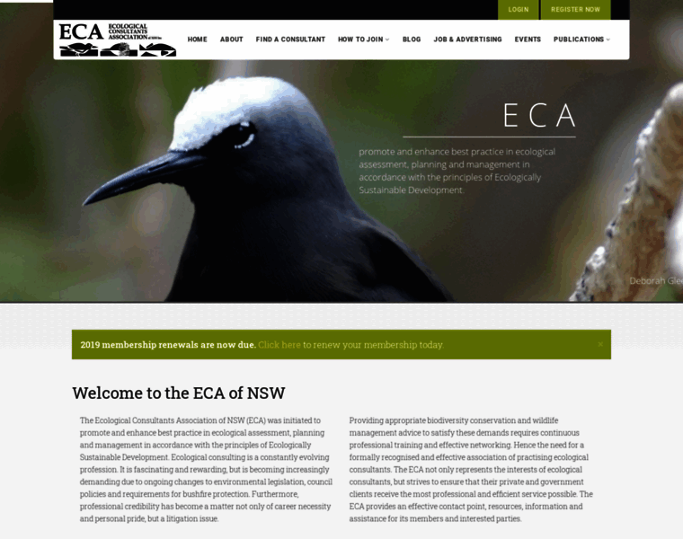 Ecansw.org.au thumbnail