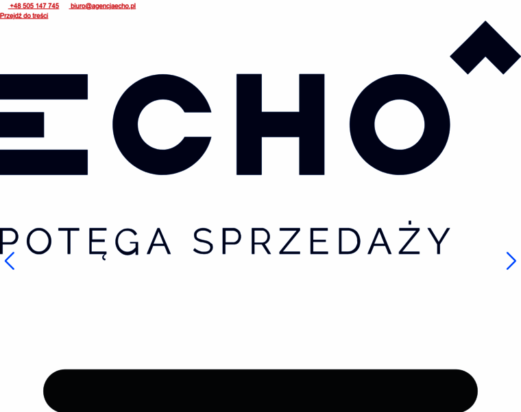 Echomarketing.pl thumbnail