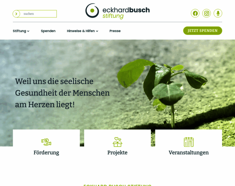 Eckhard-busch-stiftung.de thumbnail