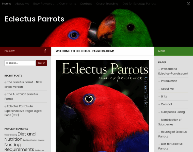 Eclectus-parrots.com thumbnail