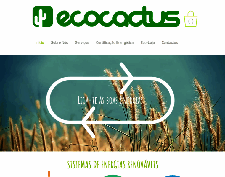 Ecocactus.pt thumbnail