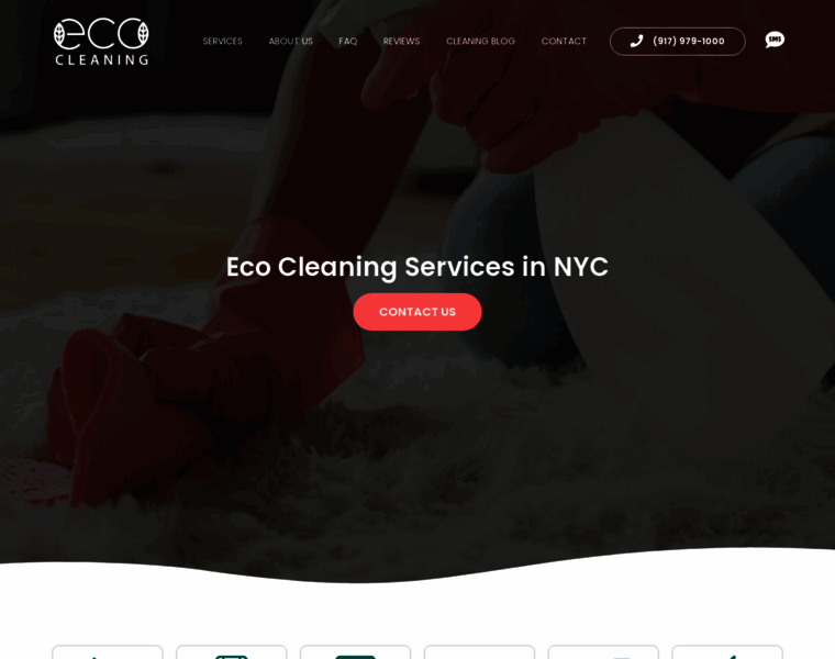 Ecocleaning-nyc.com thumbnail