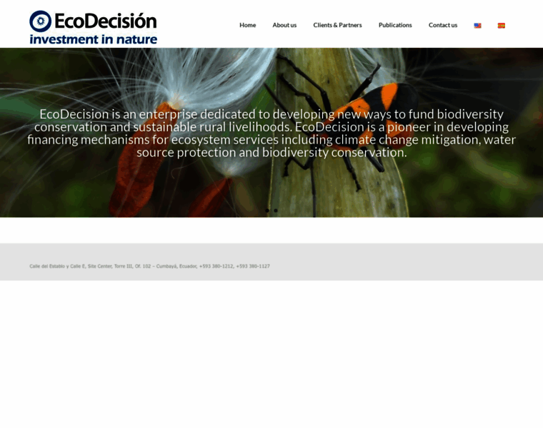 Ecodecision.com.ec thumbnail
