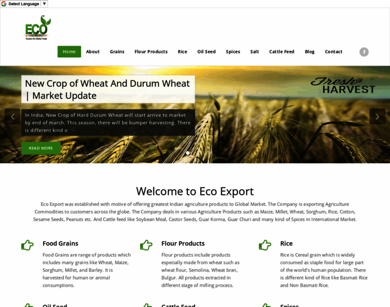Ecoexport.in thumbnail