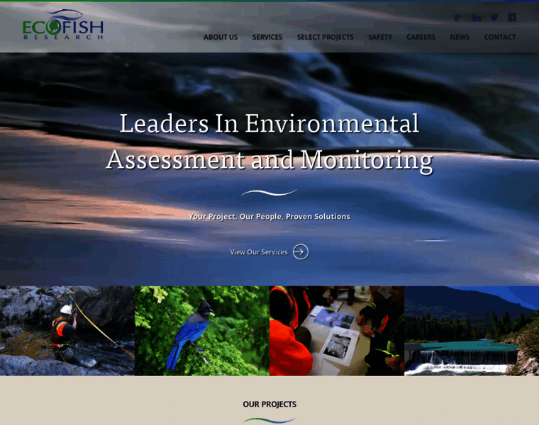 Ecofishresearch.com thumbnail