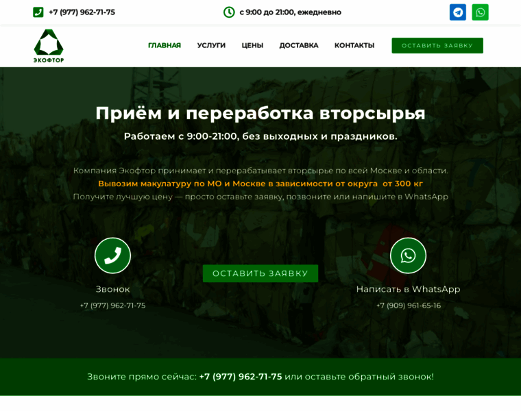 Ecoftor.ru thumbnail